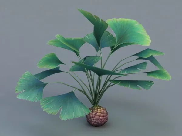 Tropical Broadleaf Plant 3d model Tropical Broadleaf Plant 3d model