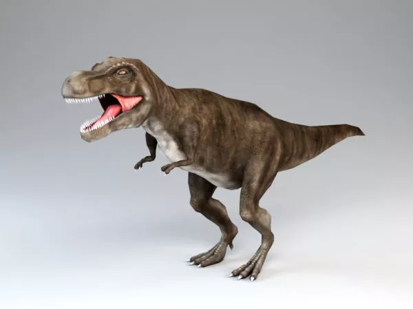 Tyrannosaurus Rex Dinosaur Rigged 3d model