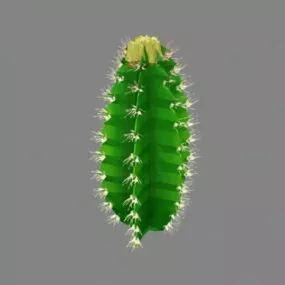 Euphorbia Cactus 3d model