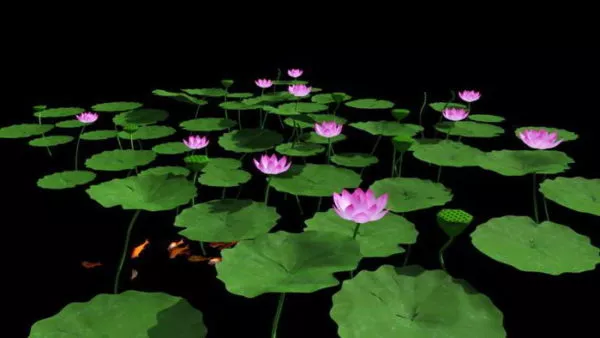 Pond Lotus Flower 3d model