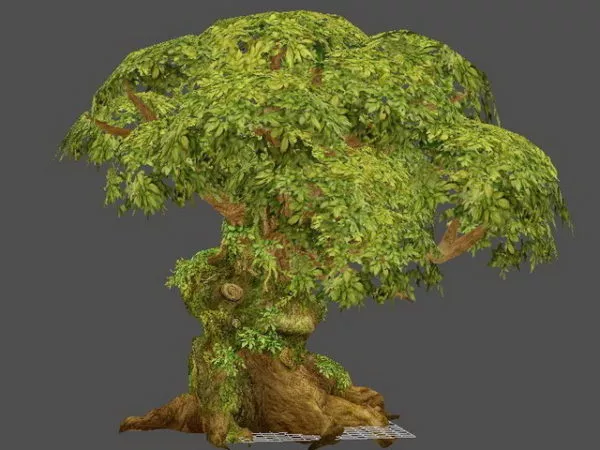 Big Old Tree 3d model Big Old Tree 3d model