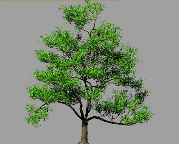 Oak Tree 3d model Oak Tree 3d model