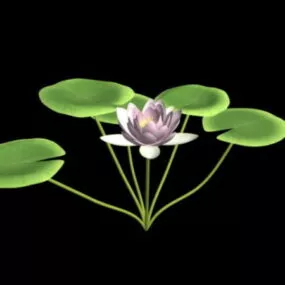 Water Lily Flower 3d model