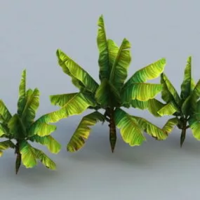 Banana Trees 3d model