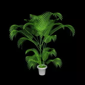 Potted Palm Plants 3d model
