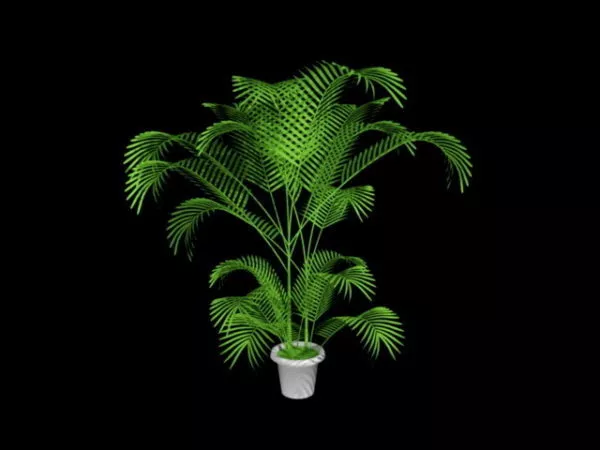 Palm Tree Forest Island 3d model