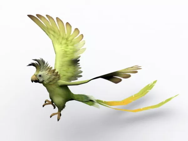 Blue Lorikeet 3d model