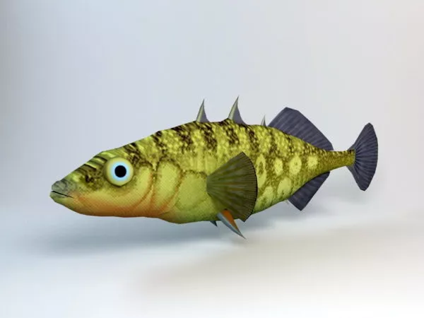 Stickleback Fish 3d model Stickleback Fish 3d model