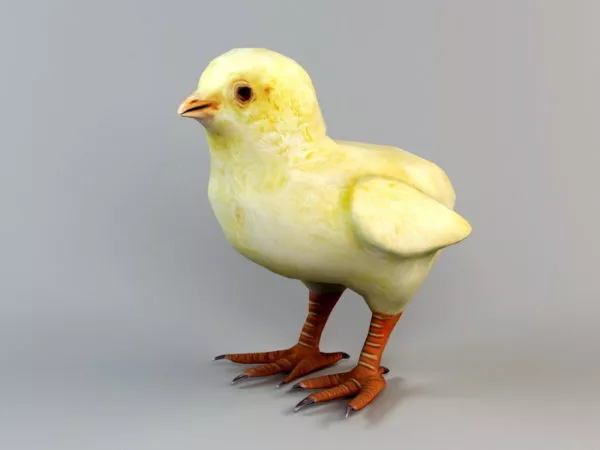 Cockatrice Chicken Creature 3d model