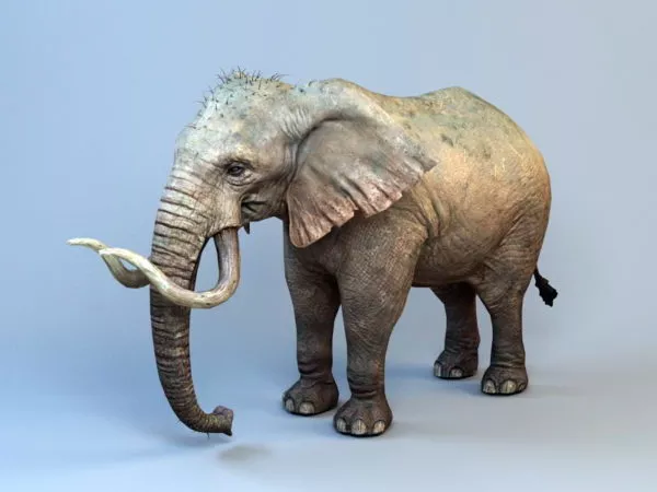 Ancient Mammoth Elephant 3d model Ancient Mammoth Elephant 3d model