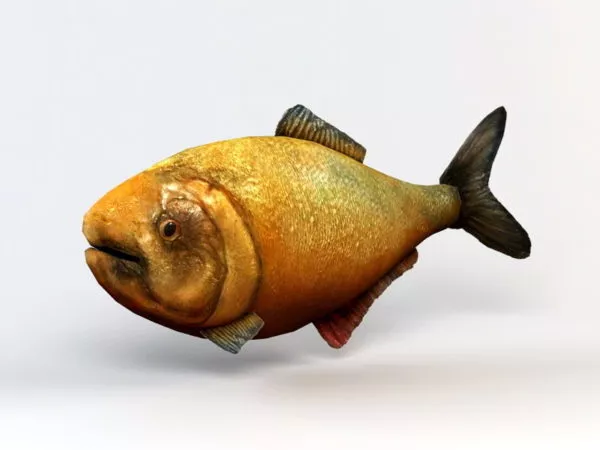 Abyssal Fish 3d model Abyssal Fish 3d model