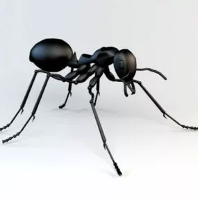 Black Ant 3d model