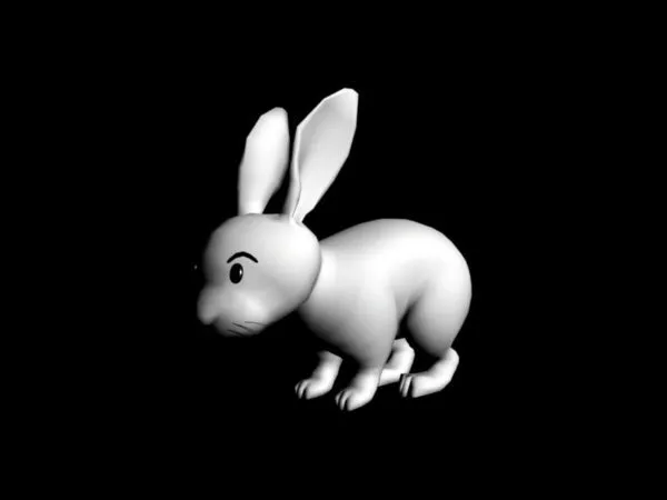 Wild Rabbit 3d model