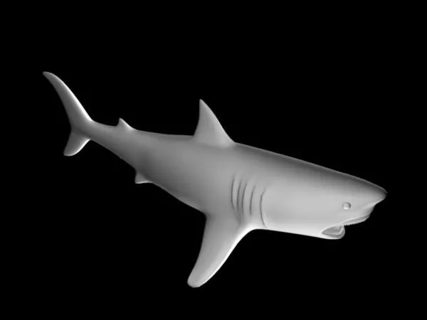 Blacktip Shark Sea Animal 3d model
