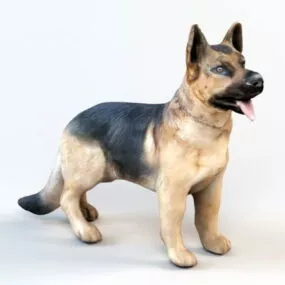 German Shepherd 3d model