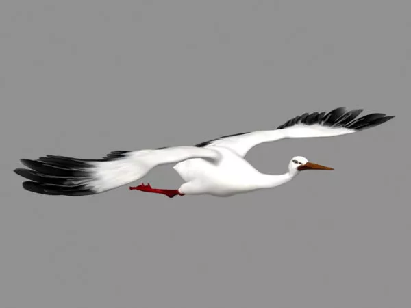Construction Large Crane 3d model