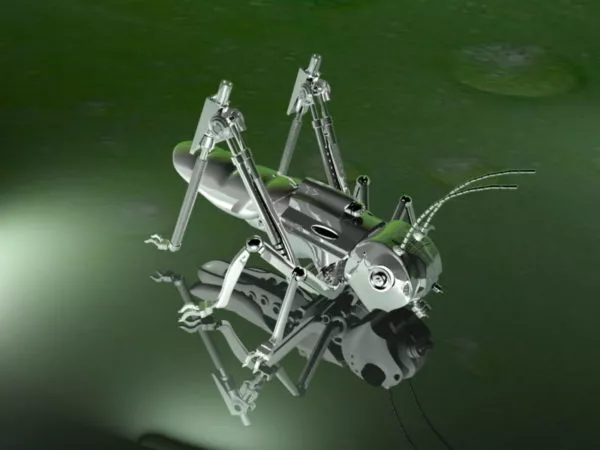 Spittlebug 3d model