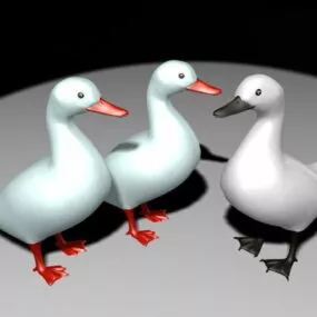White Ducks 3d model