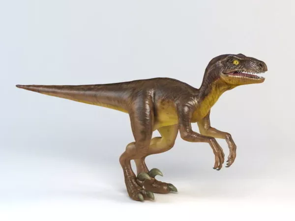 Herrerasaurus Dinosaur 3d model