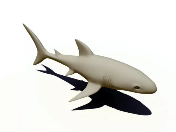 Great White Shark 3d model Great White Shark 3d model