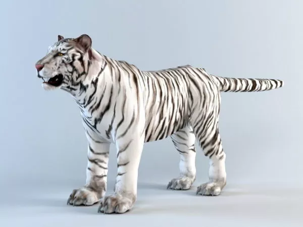 White Tiger 3d model White Tiger 3d model