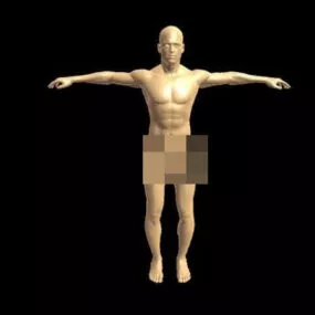 Male Human Base 3d model