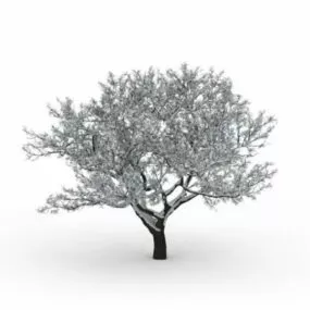 Winter Snow Tree 3d model
