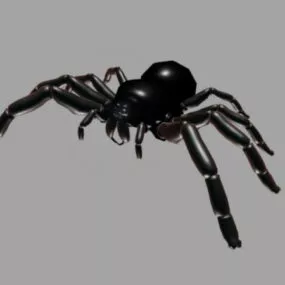Giant Spider 3d model