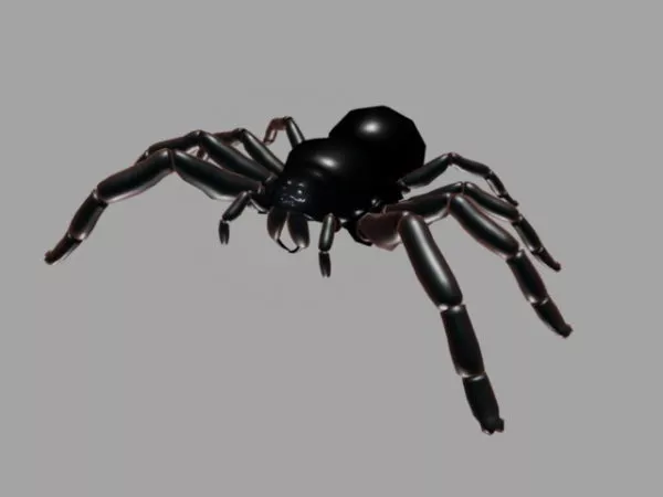 Animated Black Spider 3d model