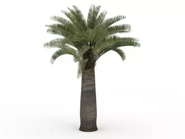 California Palm Tree 3d model California Palm Tree 3d model