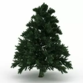 Leyland Cypress Tree 3d model