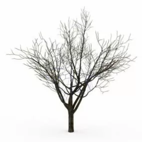 Winter Tree 3d model