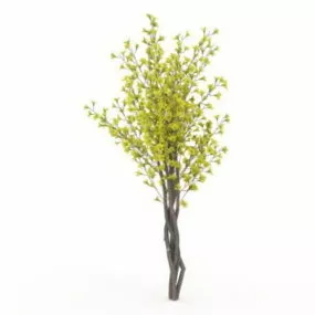 Spring Tree 3d model