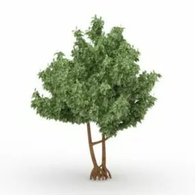 Apple Tree 3d model