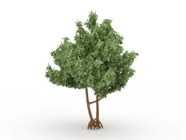 Apple Tree 3d model Apple Tree 3d model