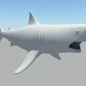 Great White Shark 3d model
