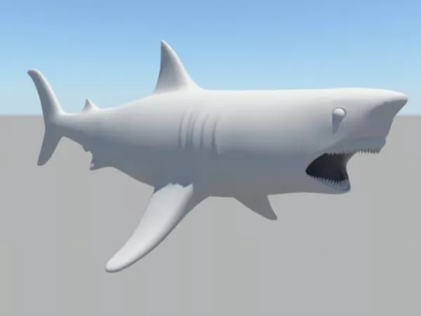 Great White Shark 3d model Great White Shark 3d model