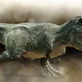 Tyrannosaurus Rex Animal 3d model