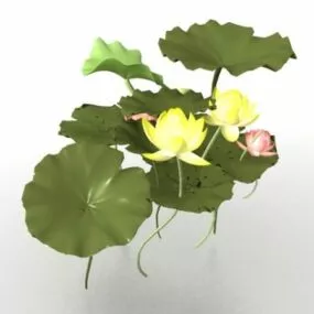 Lotus Flower Leaves 3d model