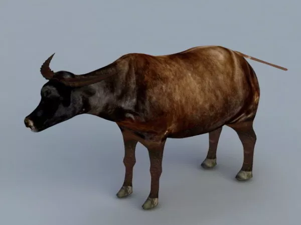 Bison Buffalo 3d model