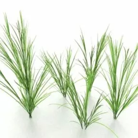 Grass 3d model