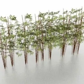 Bamboo Plants 3d model
