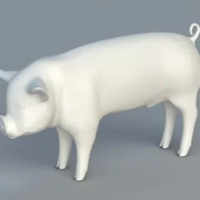 Domestic Pig 3d model