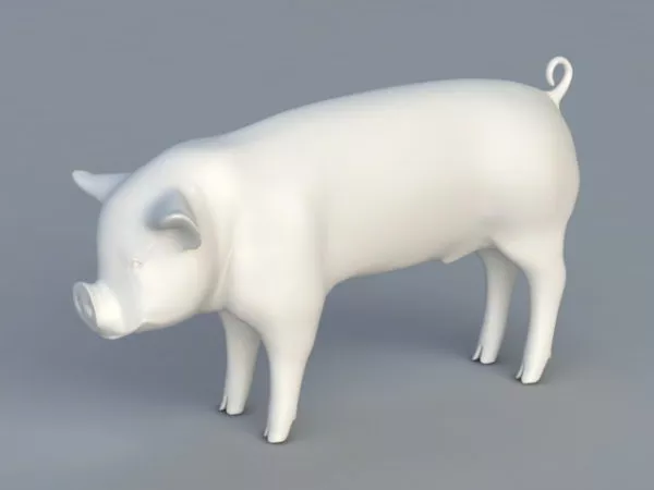 Hog Pig 3d model