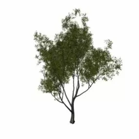 Babylon Willow Tree 3d model