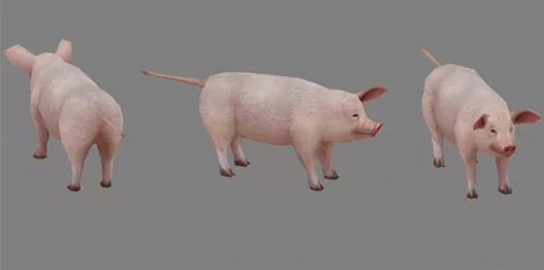 Angry Birds Pig 3d model