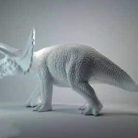Triceratops Dinosaur 3d model