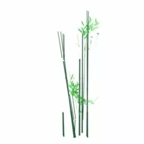 Bamboo Plants 3d model