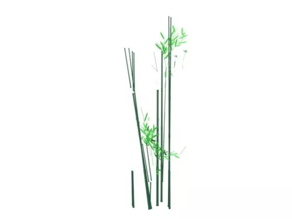 Bamboo Plants 3d model Bamboo Plants 3d model