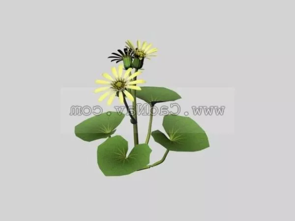 Sunflower Plant 3d model Sunflower Plant 3d model